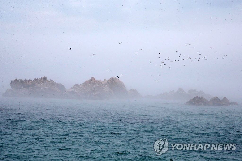 문무대왕 수중릉 위 갈매기