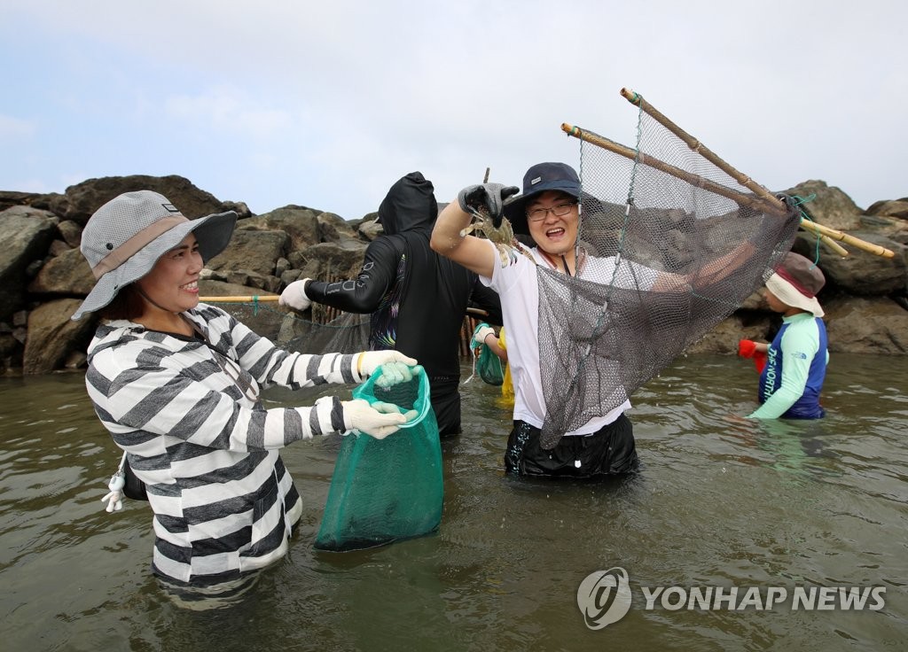 태안 청포대 독살서 물고기 잡는 관광객들