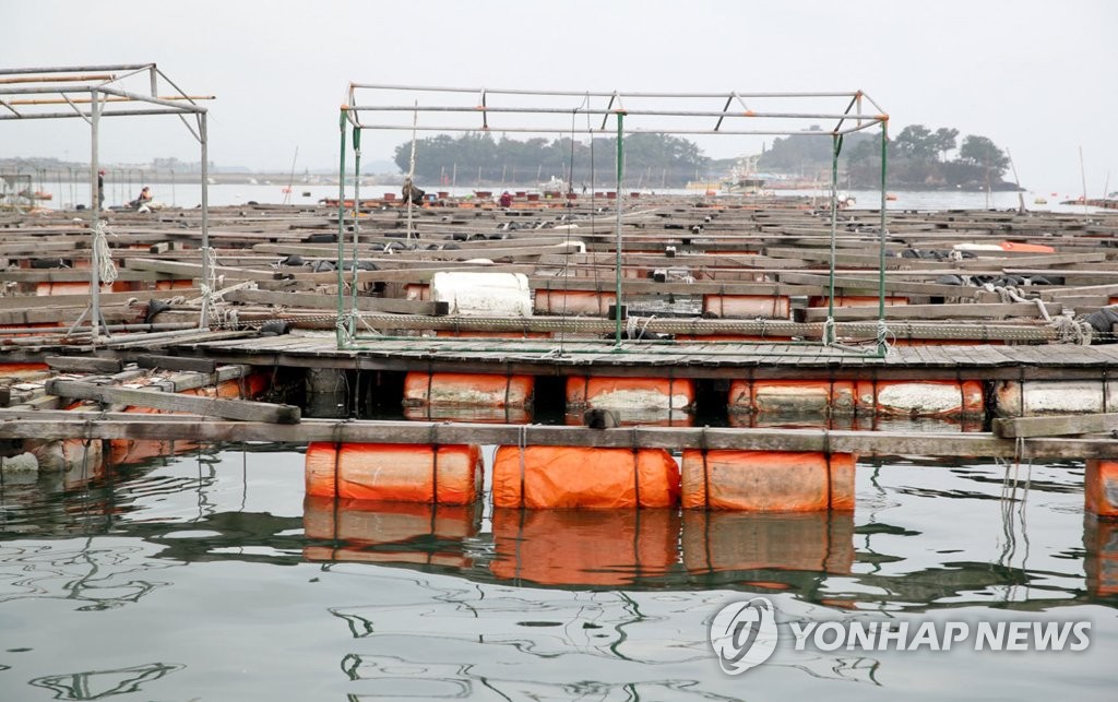 태풍으로 파손된 태안 가두리양식장