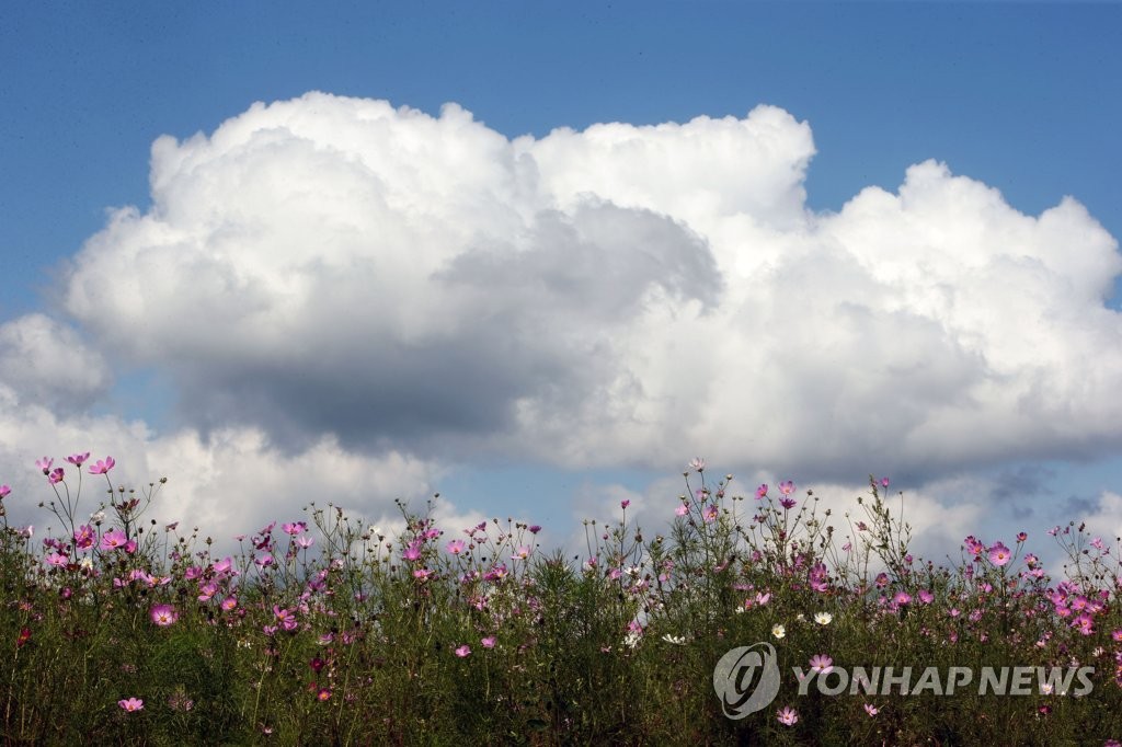 파란 하늘, 하얀 구름