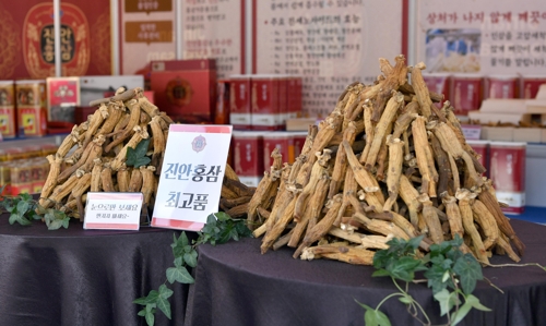 진한 홍삼 맛보러 오세요…진안 홍삼축제 9일 개막