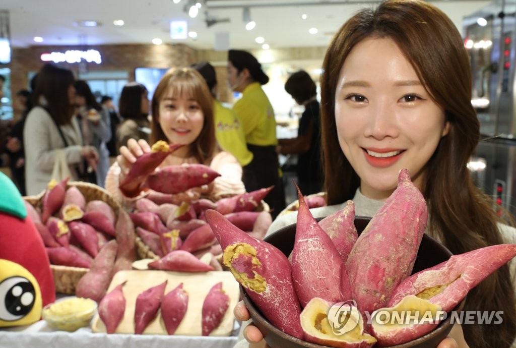 해남 명물 고구마빵 맛보세요