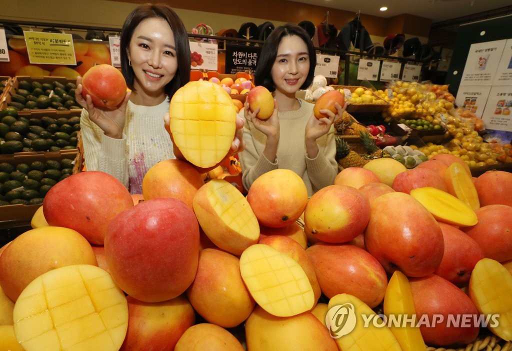 롯데마트, 호주산 애플망고 2종 판매