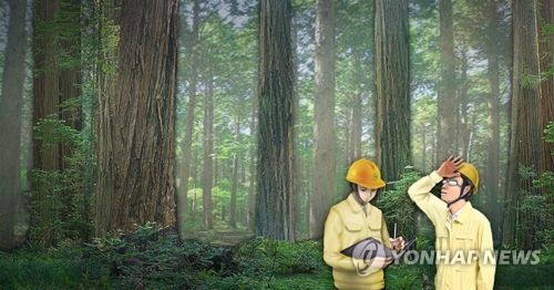해운대에 바다만 있는 게 아냐 도심형 숲속 야영장 조성