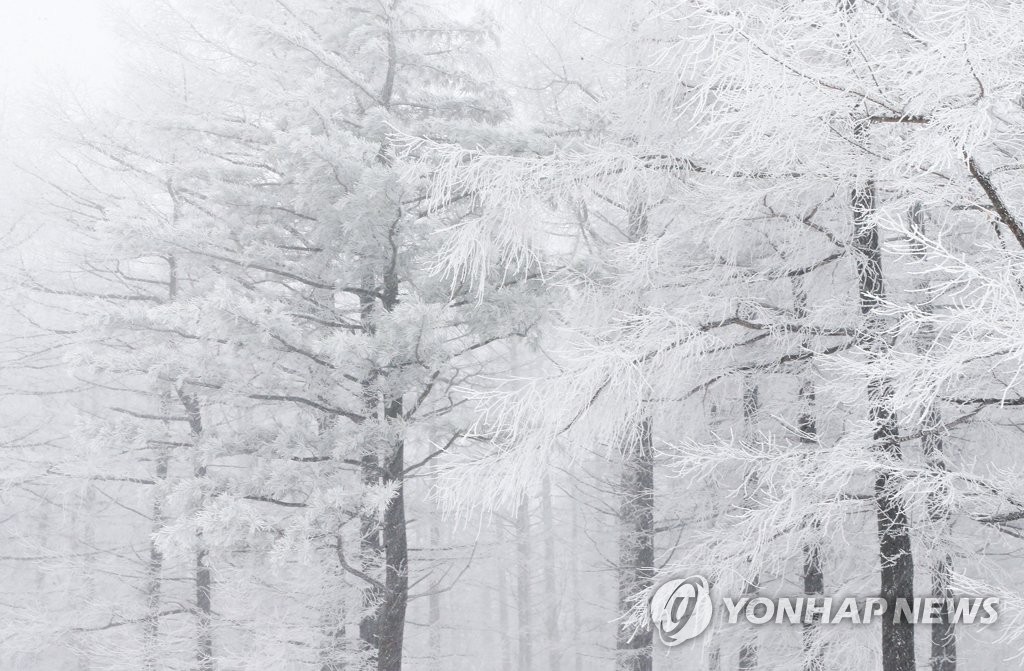 눈 내리는 만항재 풍경