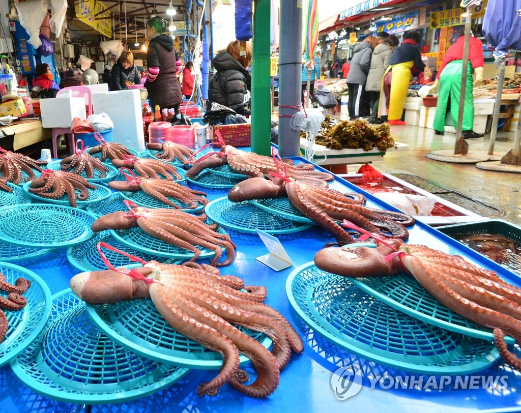 포항 죽도시장 문어