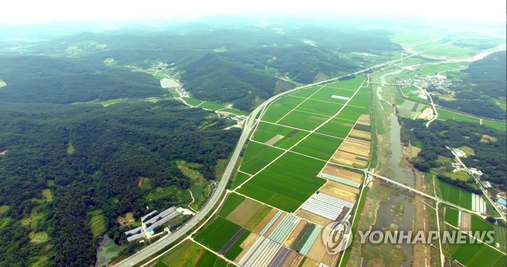 대구경북 통합신공항 의성 비안·군위 소보 공동후보지 모습