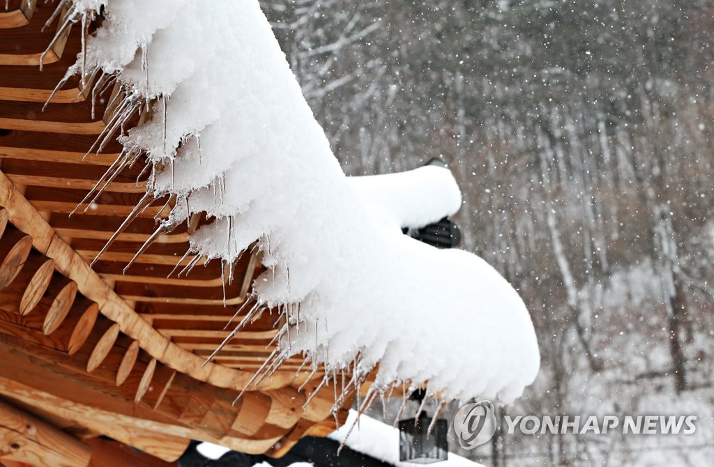 함박눈이 빚은 겨울 풍경
