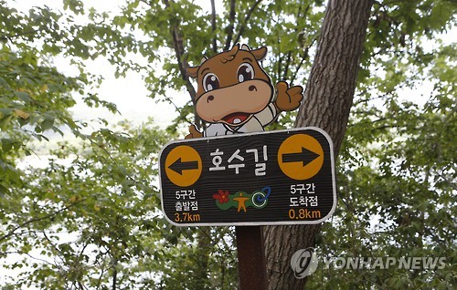 횡성군, 종합 관광 개발계획 수립 용역 추진