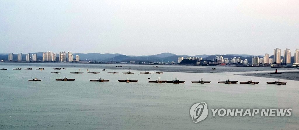 군산 앞바다 차지한 실뱀장어 조업 어선