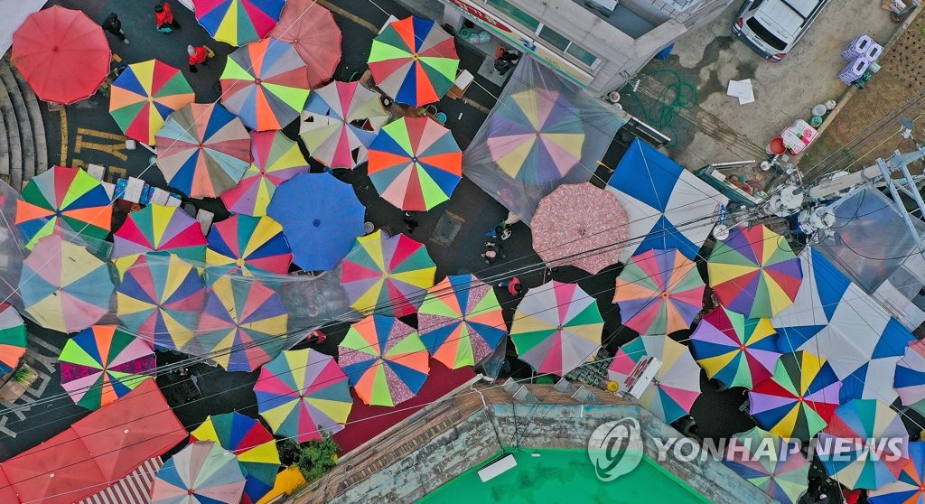 봄비에 활짝 핀 꽃처럼 활짝 피어난 화원시장