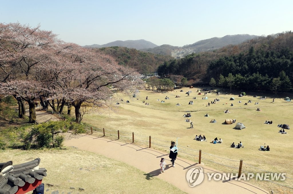 봄꽃 핀 청주 상당산성