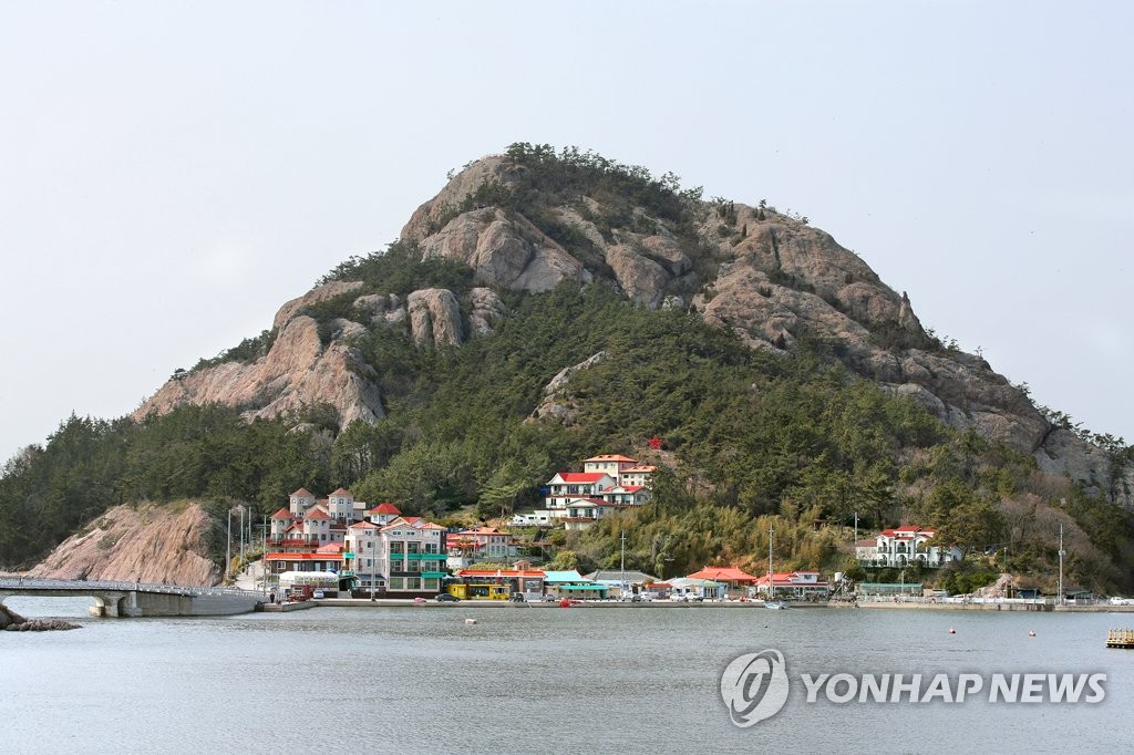 대장도