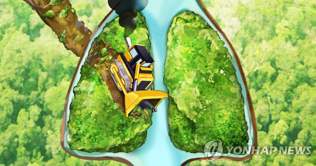 브라질 아마존 열대우림 이어 대서양 삼림도 대규모로 파괴