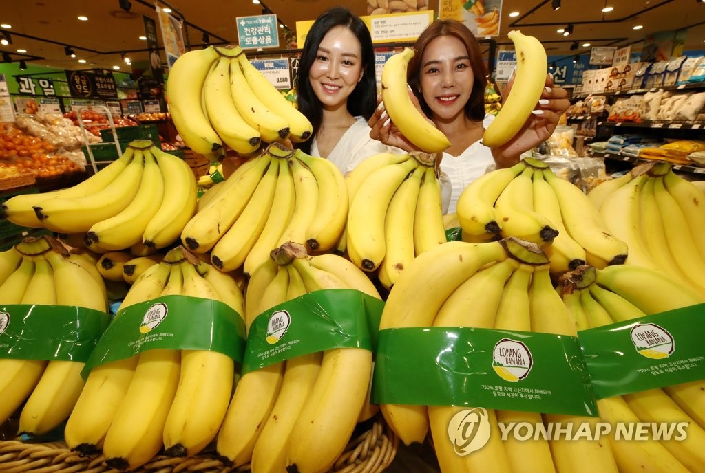 쫀득한 식감의 고산지 바나나가 왔어요