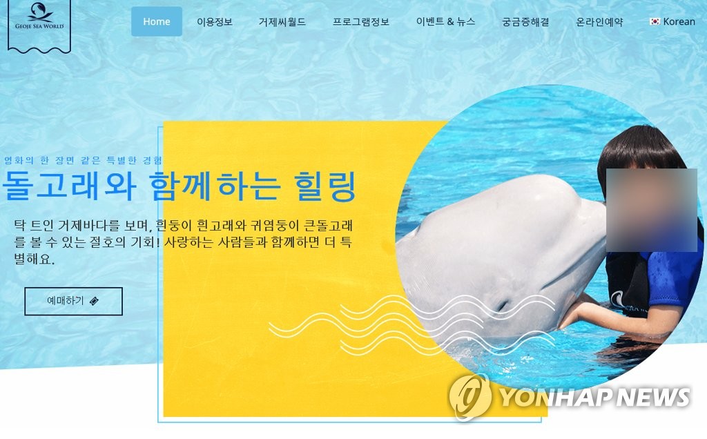 동물학대 논란 거제씨월드 프로그램