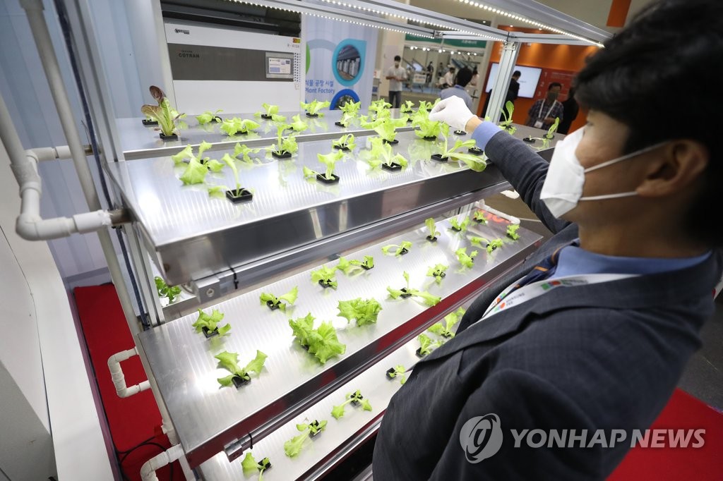 스마트팜에 몰린 관심