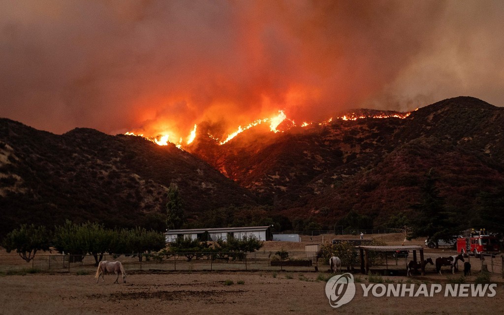 여의도 면적 37배 태운 미 애플파이어 주범은 디젤트럭 그을음