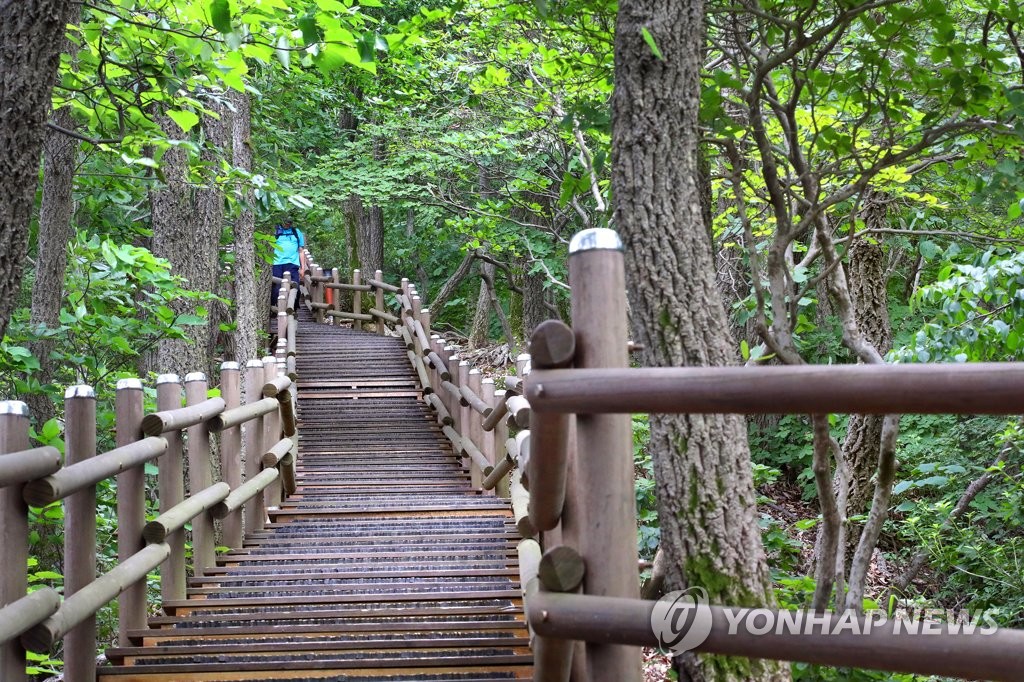 [걷고 싶은 길] 칠갑산 정상에 오르는 편안한 산장로