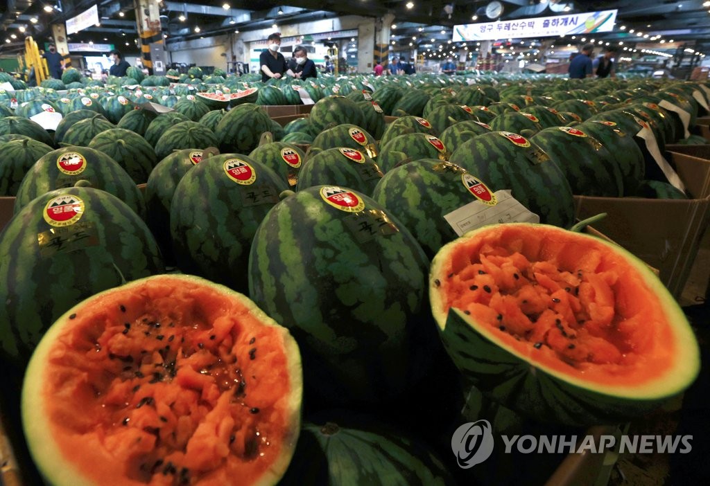 경매 나온 수박