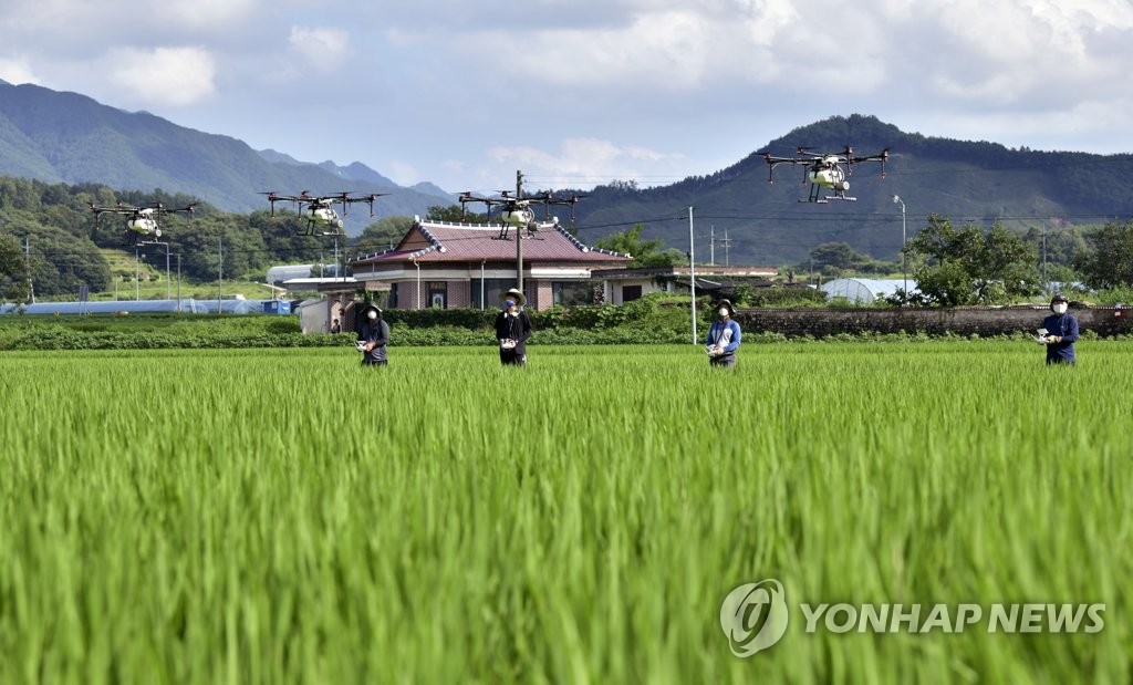 드론 이용해 병해충 항공 방제해요