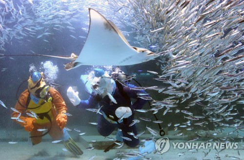 [알쏭달쏭 바다세상Ⅱ](28) 리더가 없어도 일사불란한 바다의 목초