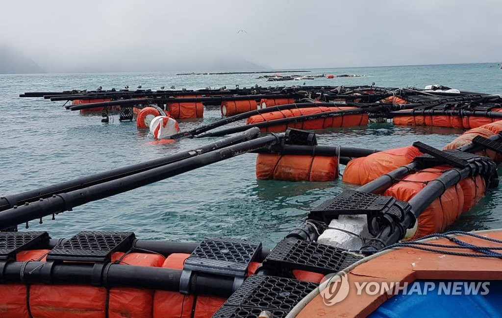 태풍 또 오는데 바비에 부서진 양식장…애타는 흑산 어민들