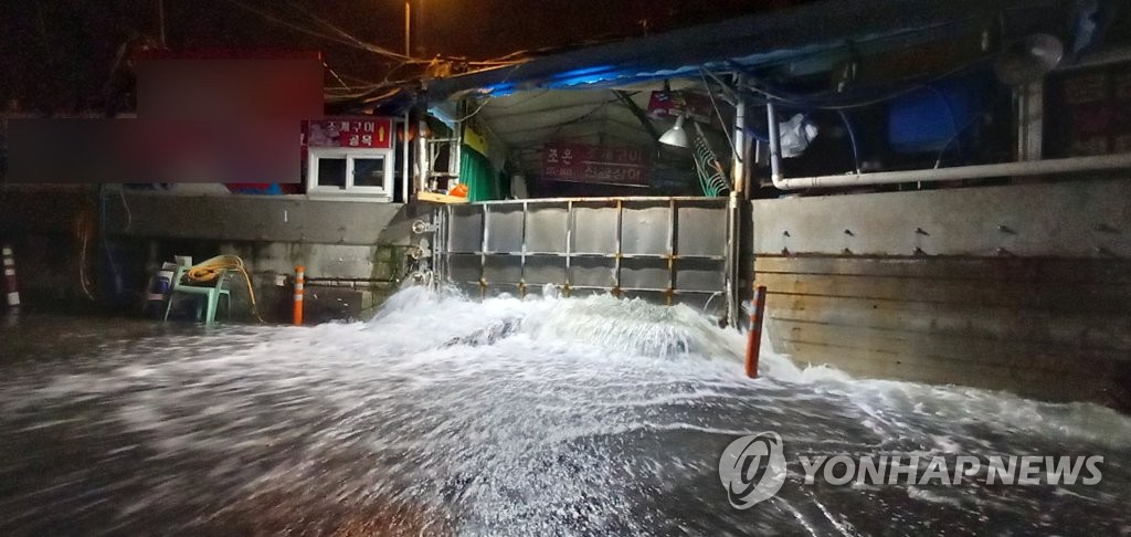 만조시각 진해 용원에 바닷물 넘쳐