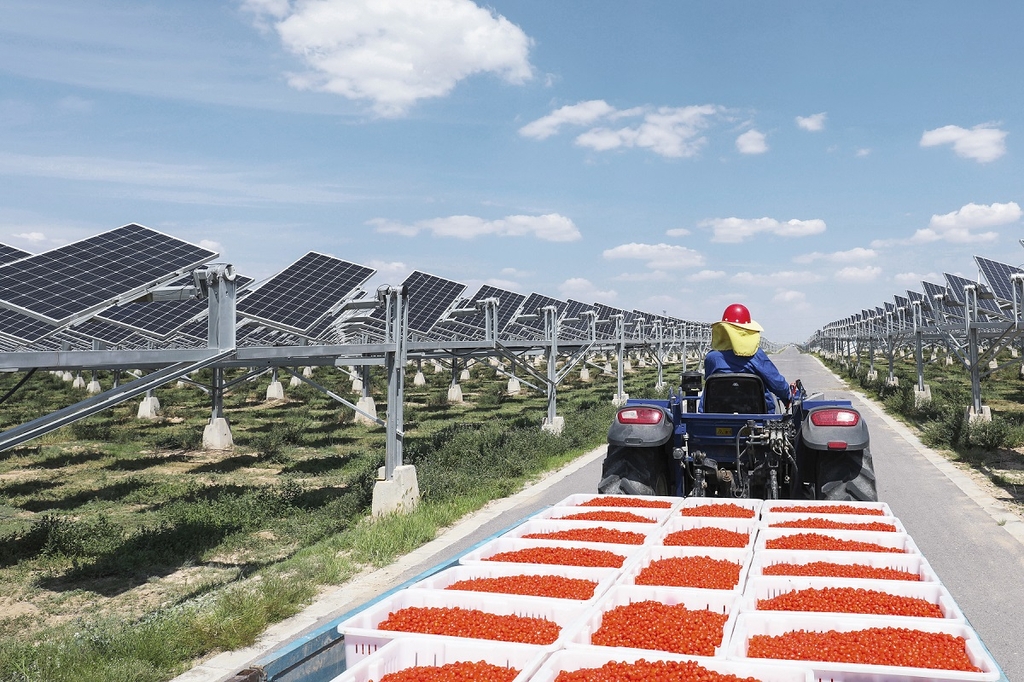 [PRNewswire] Smart PV: Breathing Life into a Desert Landscape