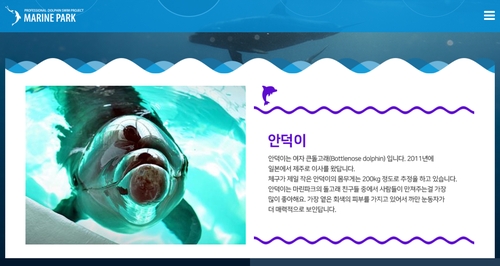 돌고래 희생 언제까지…제주 마린파크서 또 1마리 폐사