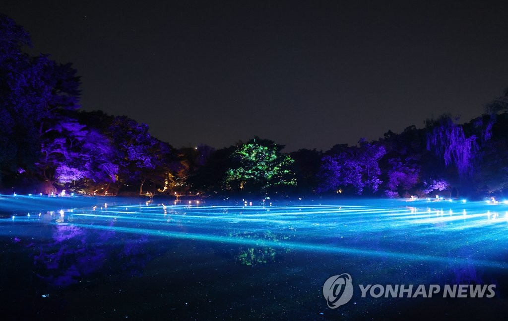 빛으로 물든 연못