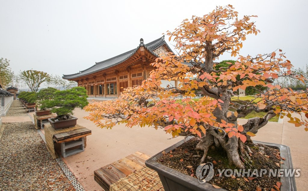 국립세종수목원 분재원 야외전시