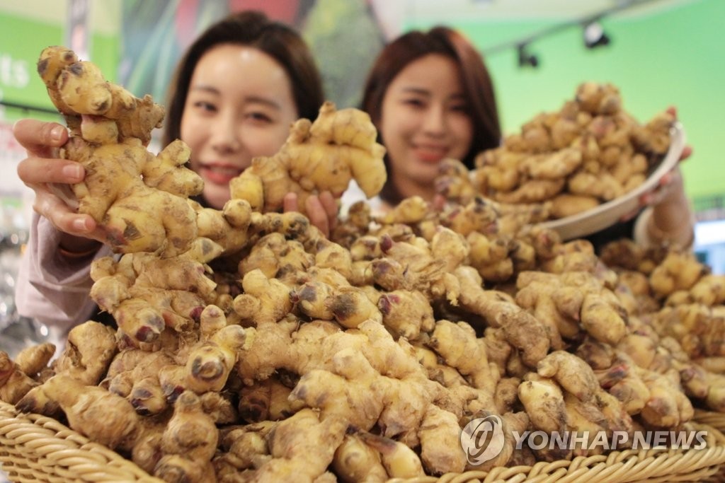 찬 바람 불 땐 안동 햇 생강