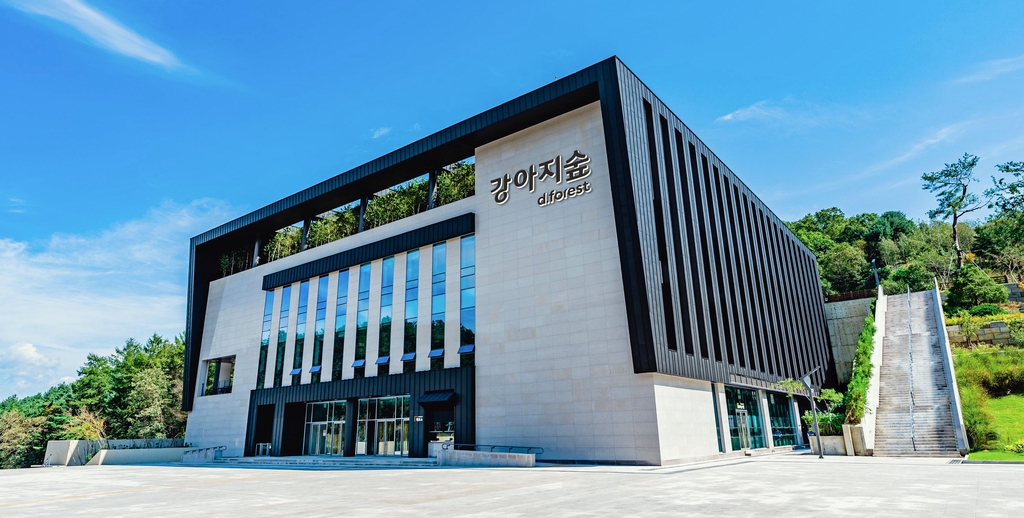 춘천에 반려견 테마파크 강아지숲 11일 사전 개장