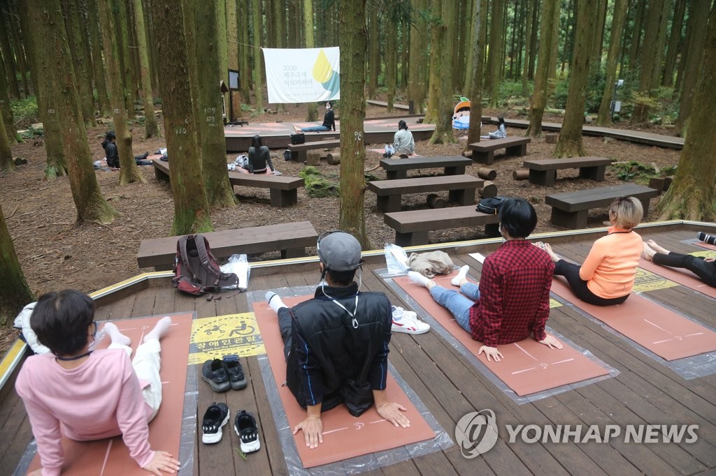 제주 숲에서 즐기는 치유 요가…국제 아로마 페어 열려
