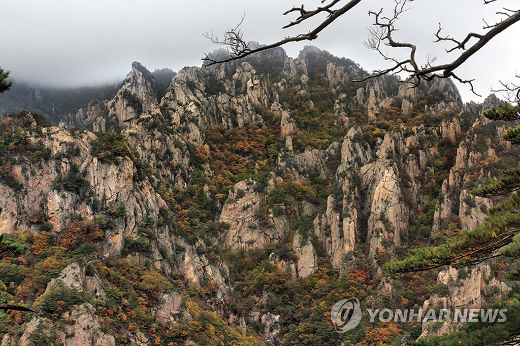 만물상