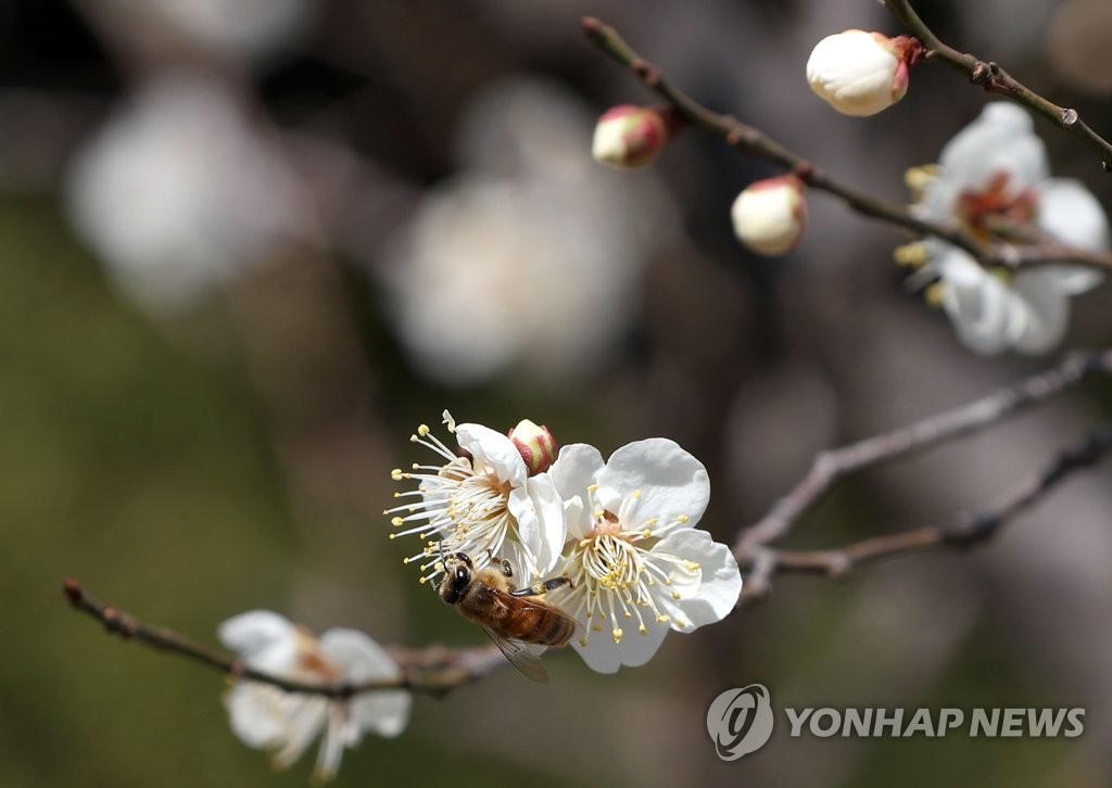 쉿! 식사 중