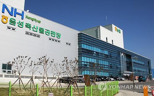 전국 최대 농협 음성축산물공판장 재가동…공급 차질 없어