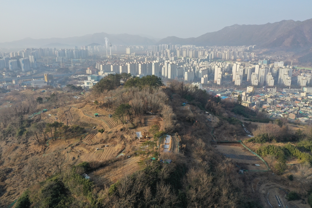 경남도, 양산 다방동 패총서 가야시대 고지성 취락 확인