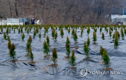 광명시흥 논밭 매수자 40%는 서울시민…토지보상 개선 필요