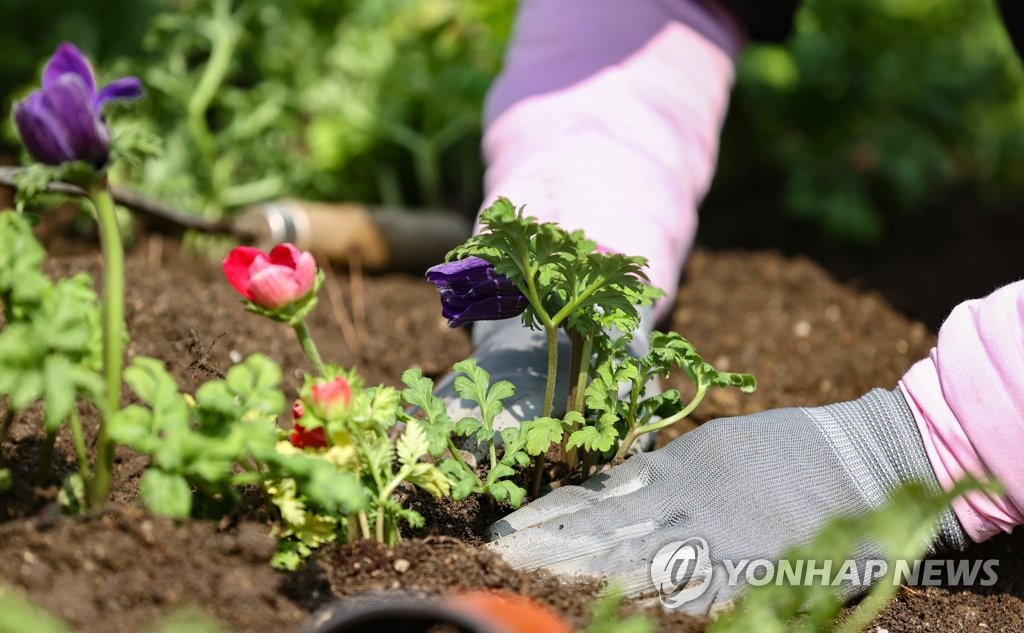 봄을 심다