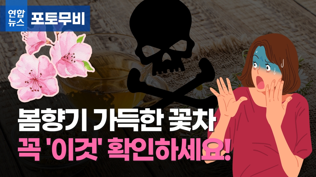 [포토무비] 봄향기 가득한 꽃차, 마시기 전에 꼭 이것 확인하세요