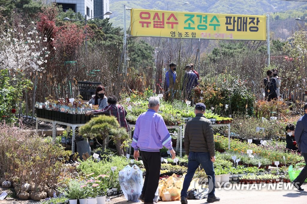 오늘은 식목일, 붐비는 묘목ㆍ화훼 시장