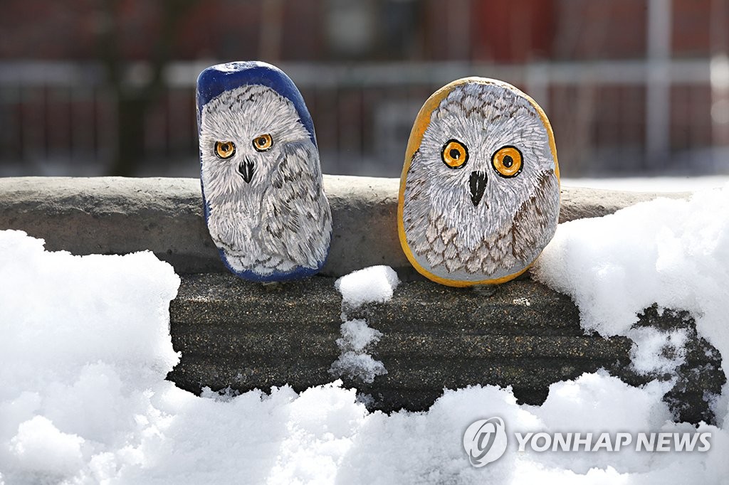 돌에 그려 넣은 부엉이