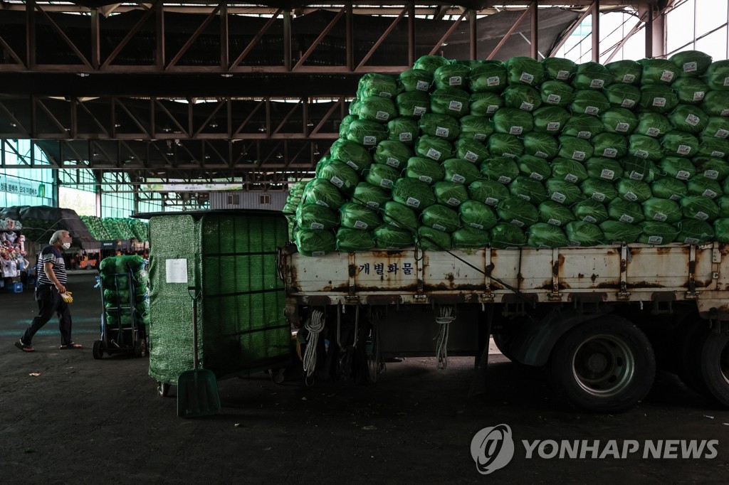봄배추 나오며 도매가 다시 안정세