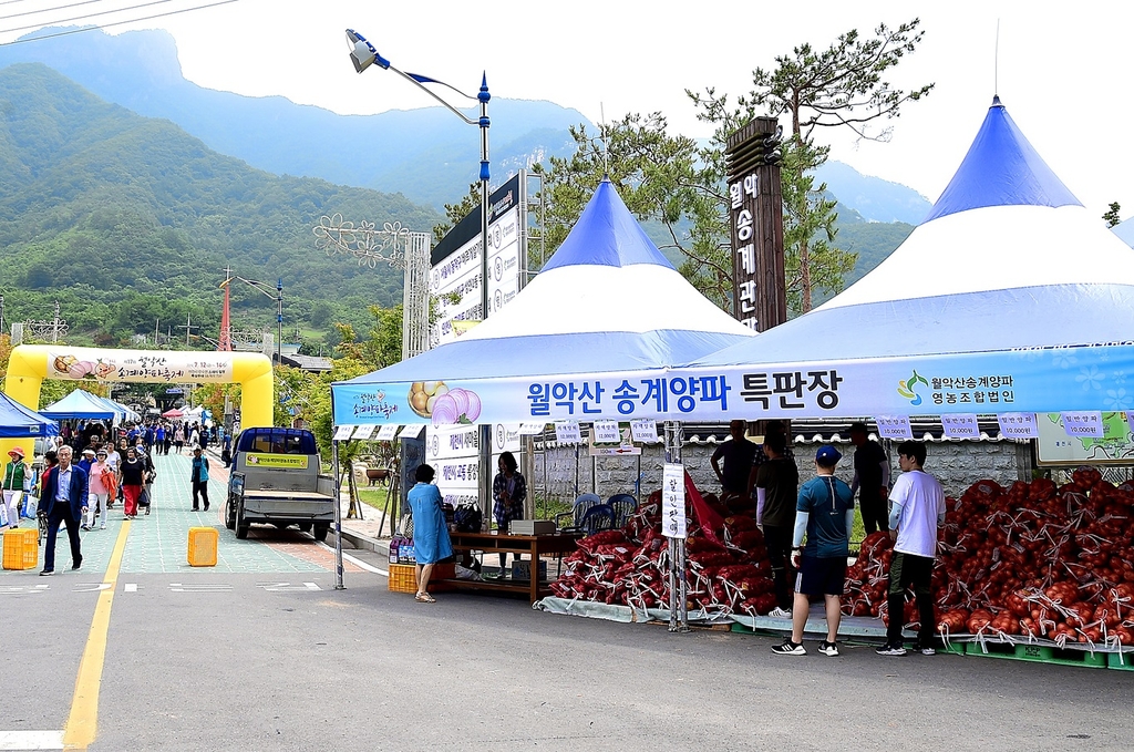 [제천소식] 내달 2∼11일 송계양파 직거래장터 운영