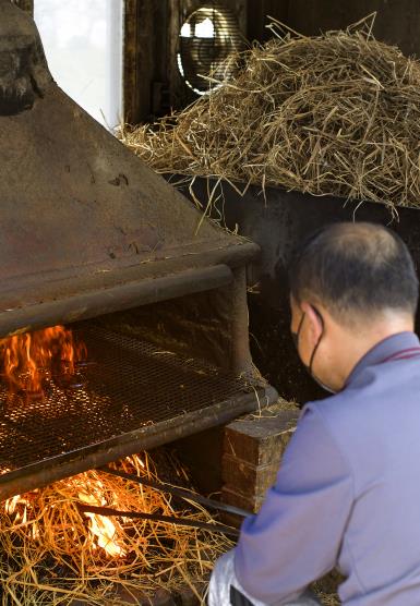 [酒먹방] 여름엔 이열치열, 기장 짚불 꼼장어