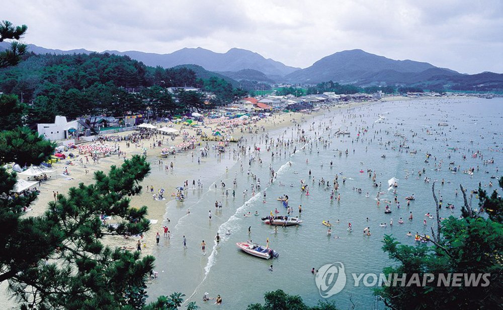 부안군, 변산해수욕장에 야영장 조성…10일부터 운영