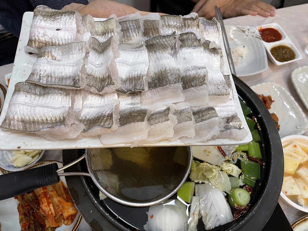 [알쏭달쏭 바다세상Ⅲ](25) 보양식의 대명사 여수 갯장어