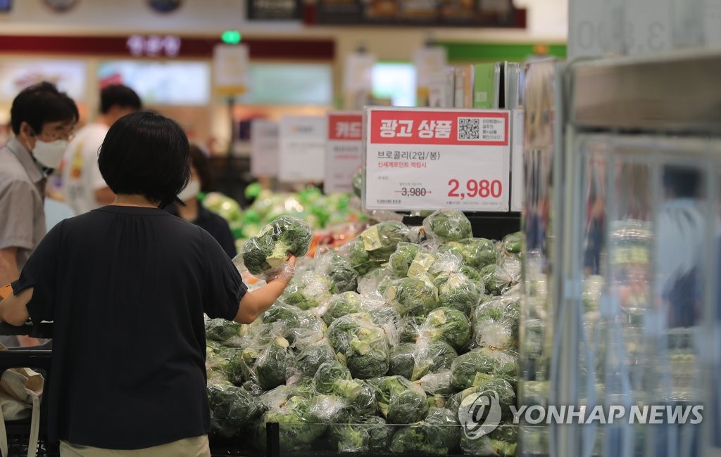 송영길, 양재 하나로마트서 밥상물가 점검